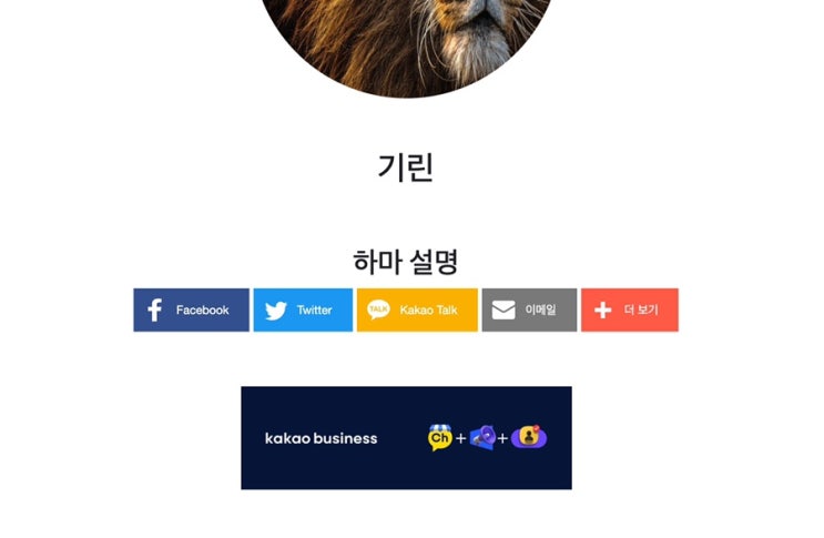  웹에 광고 붙여서 수익 내기 (구글 애드센스, 카카오 애드핏)