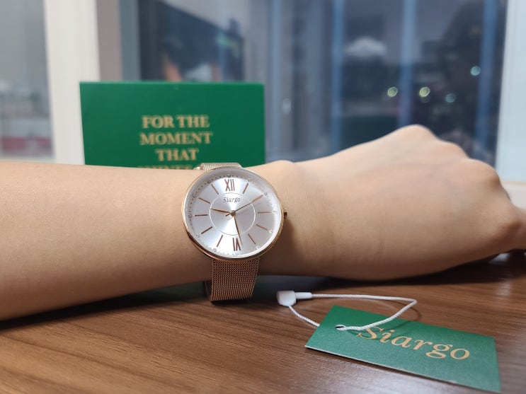 데일리 시계 추천! 시아르고 여자시계