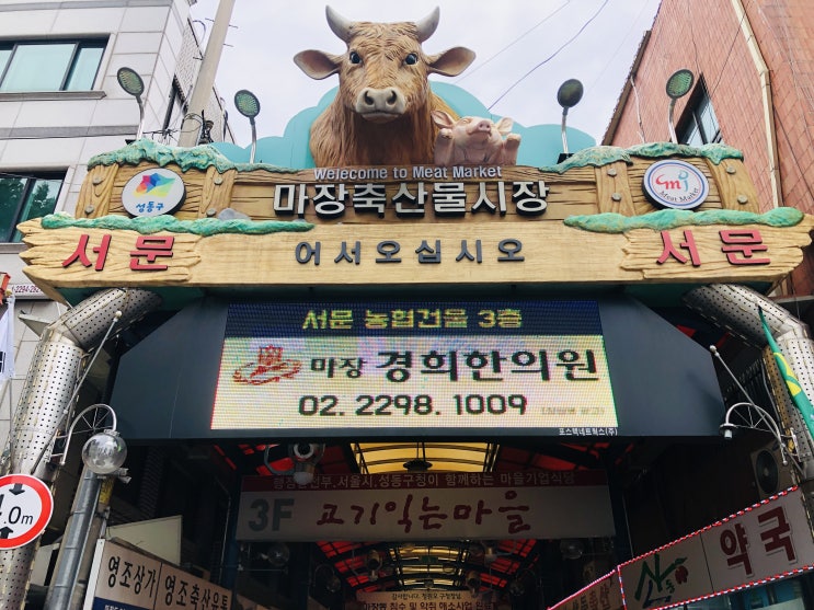 서울 소고기 추천 마장동 축산물시장 맛이 엄청나요!