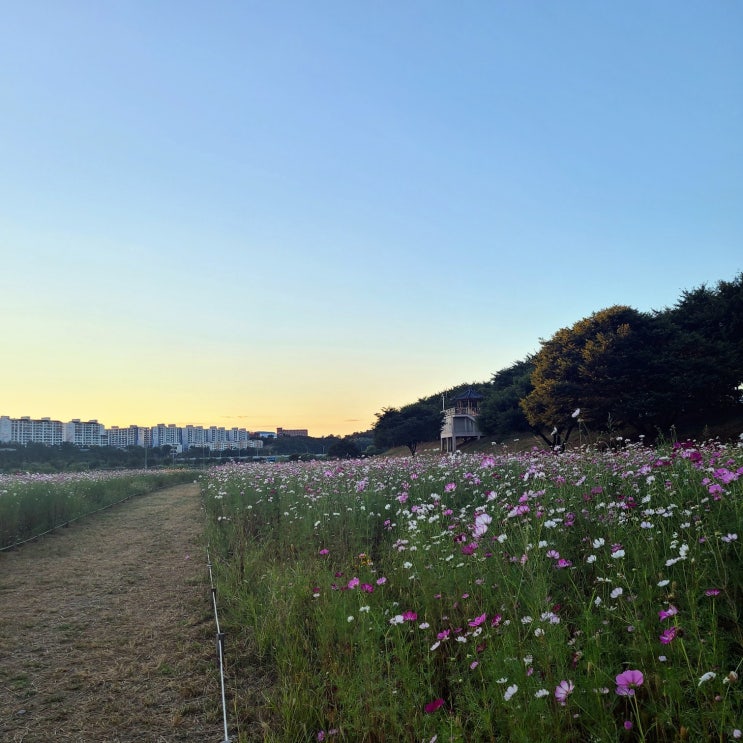 오랜만이죠 잇님들:) 다시 인사드릴게요