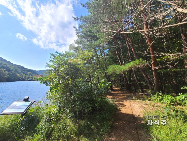  보은 가볼만한곳 속리산 세조길 세심정까지 산책한 후기