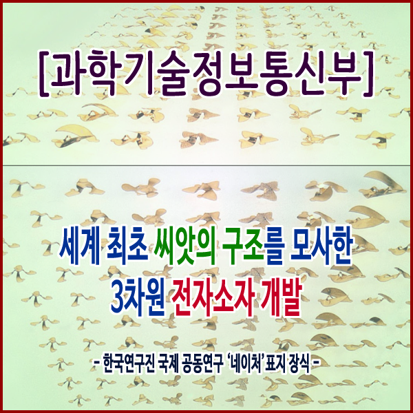  [과학기술정보통신부] 세계 최초 씨앗의 구조를 모사한 3차원 전자소자 개발