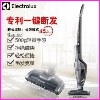  가정용 강력한 파워 무선 차이슨 오래가는 청소기 스웨덴 일렉트로룩스 강력 리튬전지 흡입 꿀정보 