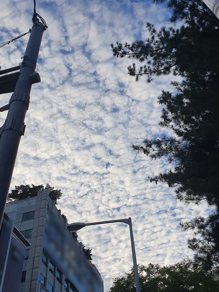   오늘의 구름 사진