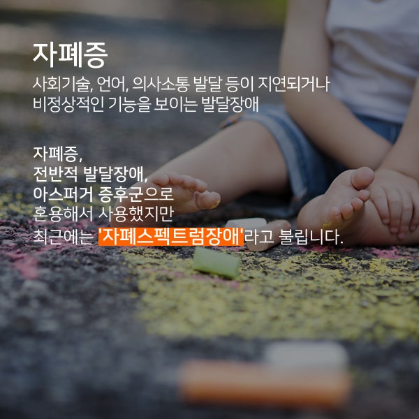 자폐아의 특징을 정리하는 시간 3