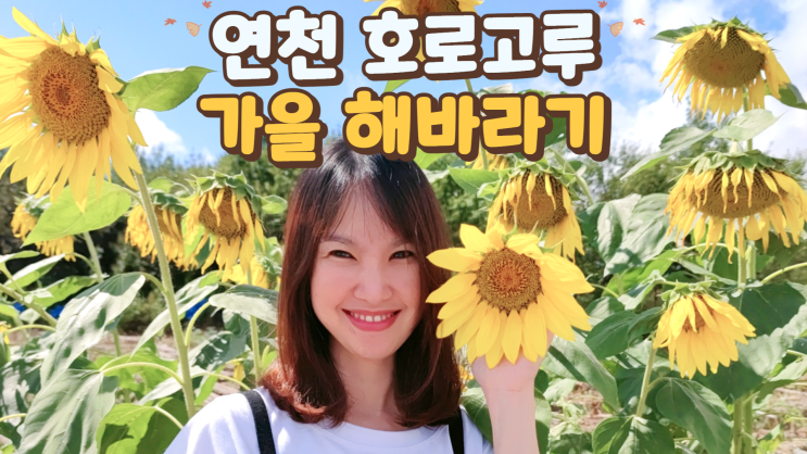 연천 호로고루 해바라기 하늘계단 가을 사진 찍기 좋은 곳 연천 호로고루 해바라기 하늘계단 가을 사진 찍기 좋은 곳