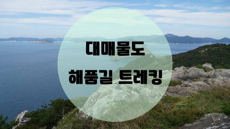  대매물도 해품길 트레킹 !! 2시간30분 산행의 행복