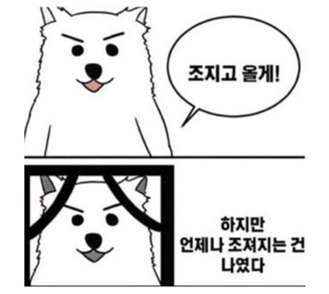   글쓰기를 온전히 좋아한다는 건 착각이었다