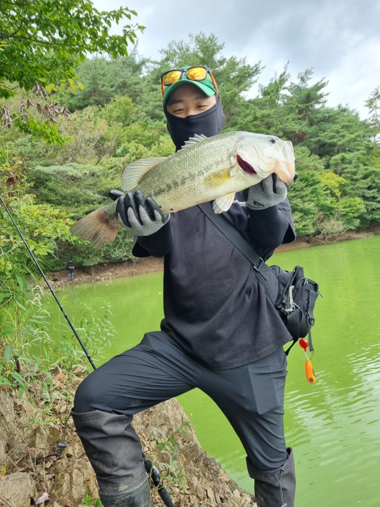 화순 배스낚시 / 강계 배스 / 96크루 / 런커 / 화순 배스 쳐직쳐직