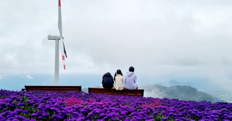  감악산풍력단지 다녀온 후기
