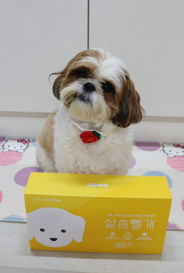  강아지 다이어트 간식 사사견견 살좀뺄개, 체중조절에 좋았던 영양식