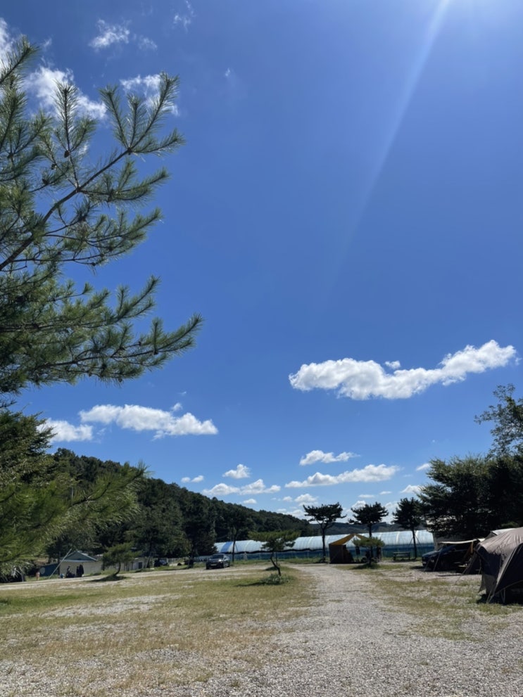 c캠핑️ 용인 장박 두리봉캠핑장 4