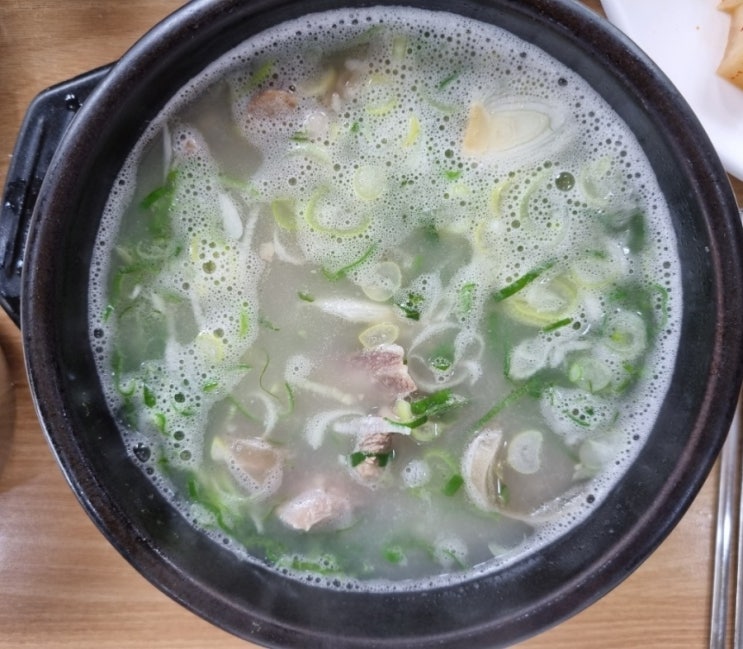  음식/대전/선화동 소머리 해장국(주차 tip), 성심당 DCC점(주차 tip)