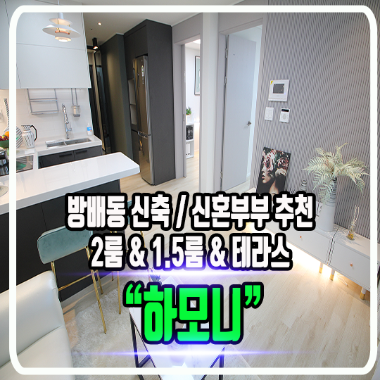  방배동 집앤사 하모니 신축빌라 - 정보 및 타입별 소개(투룸 & 원룸원거실 구조)