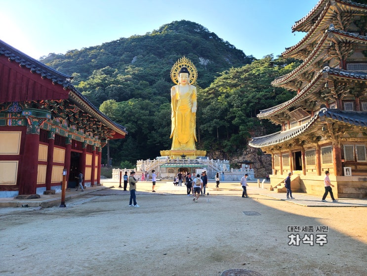  보은 가볼만한곳 속리산 법주사 날씨좋은날 갔더니