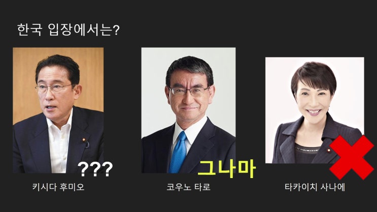 재미로 알아보는 차기 일본 총리후보