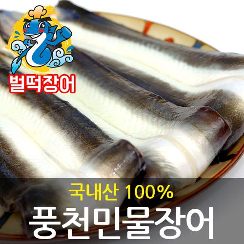 요즘 인기있는 국내산 풍천 민물장어 1kg 손질후 700~750g 벌떡장어, 풍천민물장어 1미~4미 1kg 좋아요