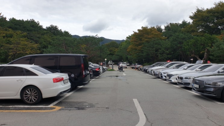  경주 코오롱CC 9홀 노캐디