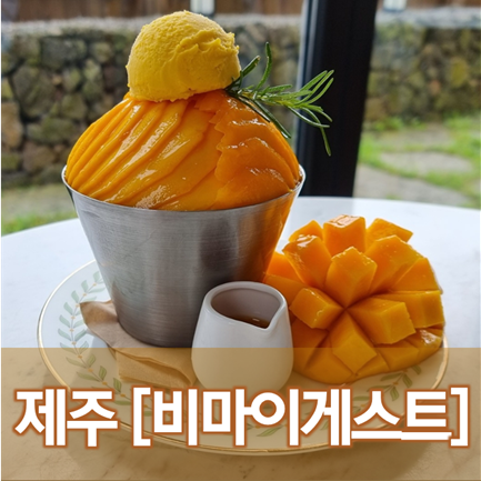  [제주/협재] 비마이게스트 - 신라호텔 갈 필요없다. 망고빙수 맛집 카페