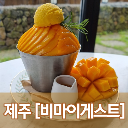 [제주/협재] 비마이게스트 - 신라호텔 갈 필요없다. 망고빙수 맛집 카페