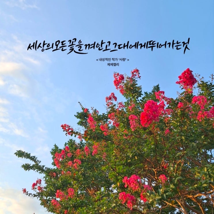  인스타 글귀 모음