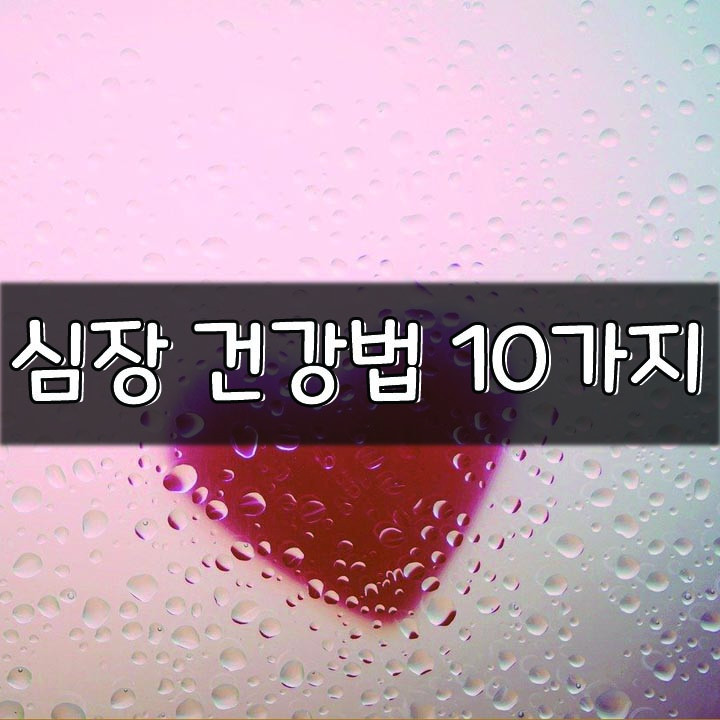  [심장 건강법 10가지]