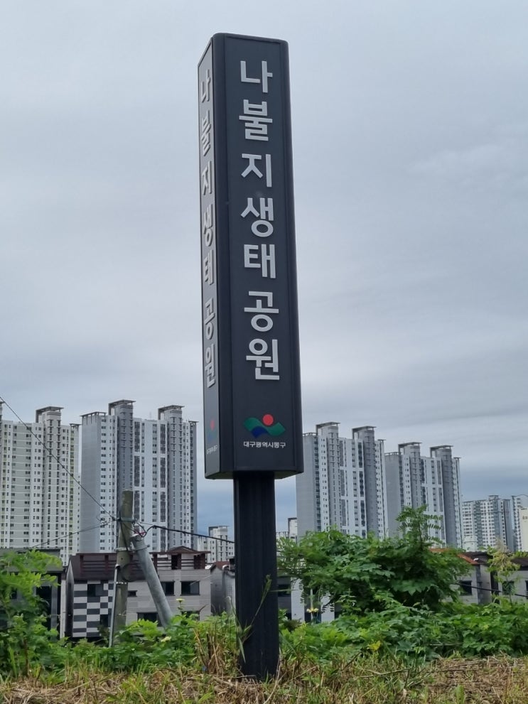  산책하기 좋은곳 (대구 -나불지생태공원)