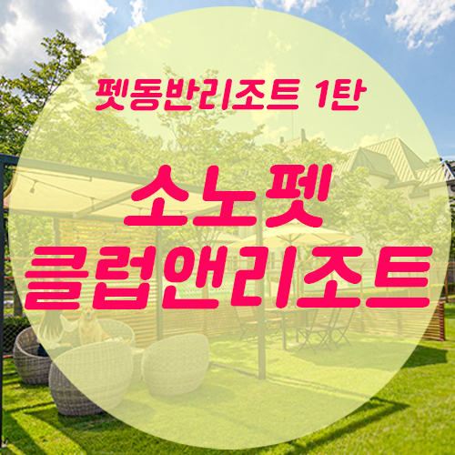  펫동반 리조트 1탄_ 소노펫클럽앤리조트