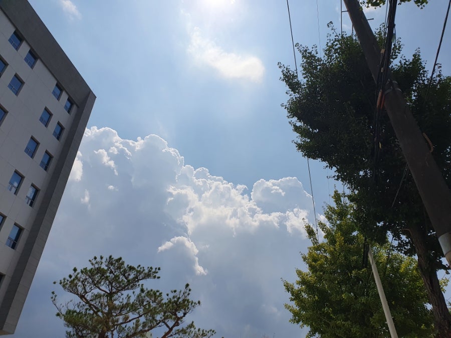동글이감자탕 사진 1