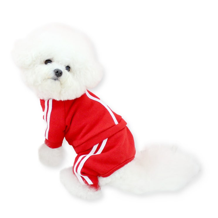 요즘 인기있는 초코펫하우스 강아지 올인원 트레이닝복 백수의하루, 레드 추천해요 요즘 인기있는 초코펫하우스 강아지 올인원 트레이닝복 백수의하루, 레드 추천해요