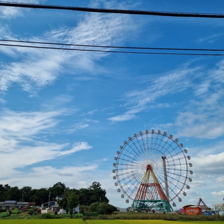 충남 당진 가볼만한 곳 삽교호, 삽교호 놀이동산 가봤습니다