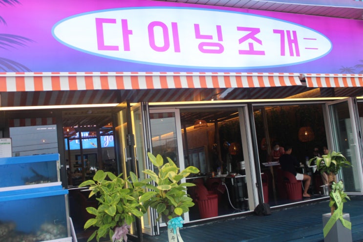  강릉 세인트존스호텔 맛집을 찾는다면 조개구이 맛집 다이닝조개