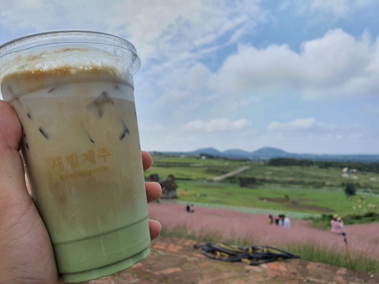  제주도 서쪽 가볼 만한 곳 새빌오름 카페 (핑크뮬리)