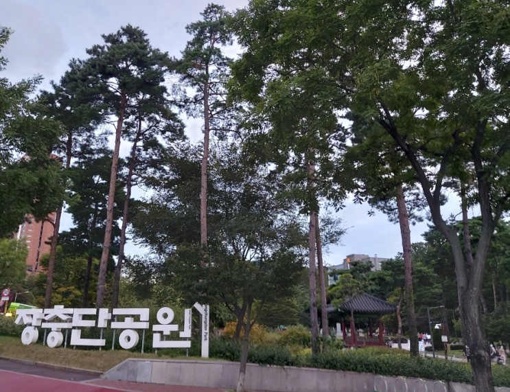 서울 도심 산책하기 좋은곳  장충단 공원