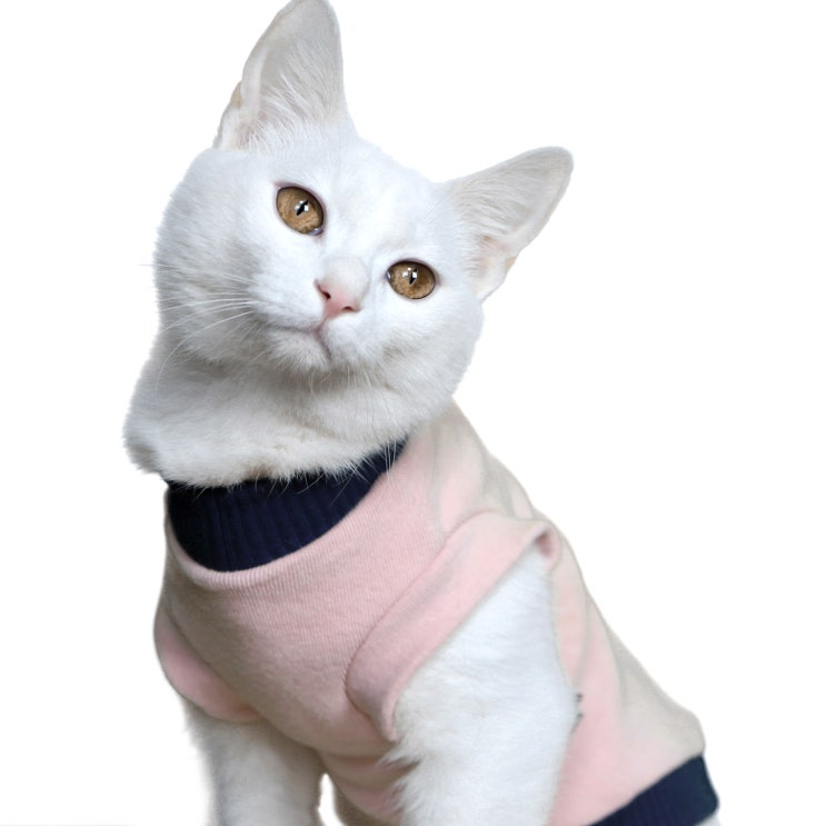 후기가 좋은 코코테일 고양이 티셔츠, 라이트핑크 추천해요 후기가 좋은 코코테일 고양이 티셔츠, 라이트핑크 추천해요