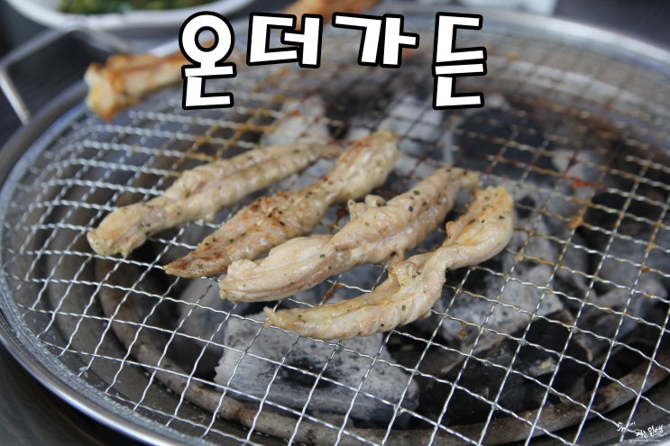  [춘천맛집] 춘천 닭갈비 반려견 동반가능한 온더가든