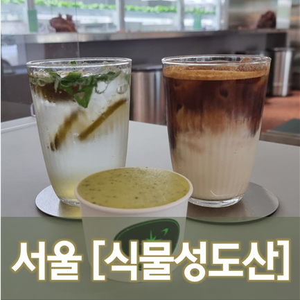  [서울/신사] 식물성도산 - 도산공원에서 잠깐동안 우주여행