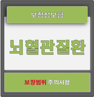  뇌혈관질환 보험 보장범위 주의사항 체크리스트