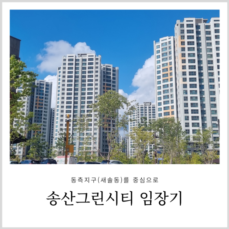 송산그린시티 임장기: 동측지구(새솔동)를 중심으로