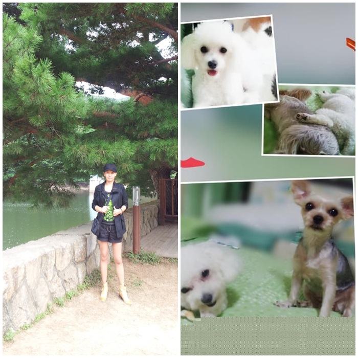  갱년기 증상 짜증ㅣ갱년기 가슴 커짐ㅣ유방 비대