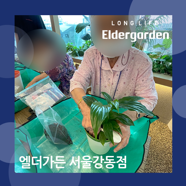  천호동주야간보호센터 즐거운 원예치료 프로그램