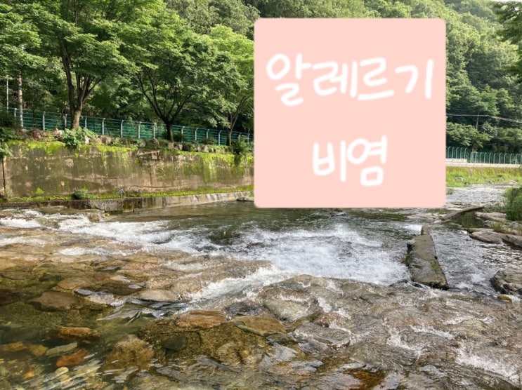  알레르기 만성비염 환절기마다 넘 힘듬 예방및관리법