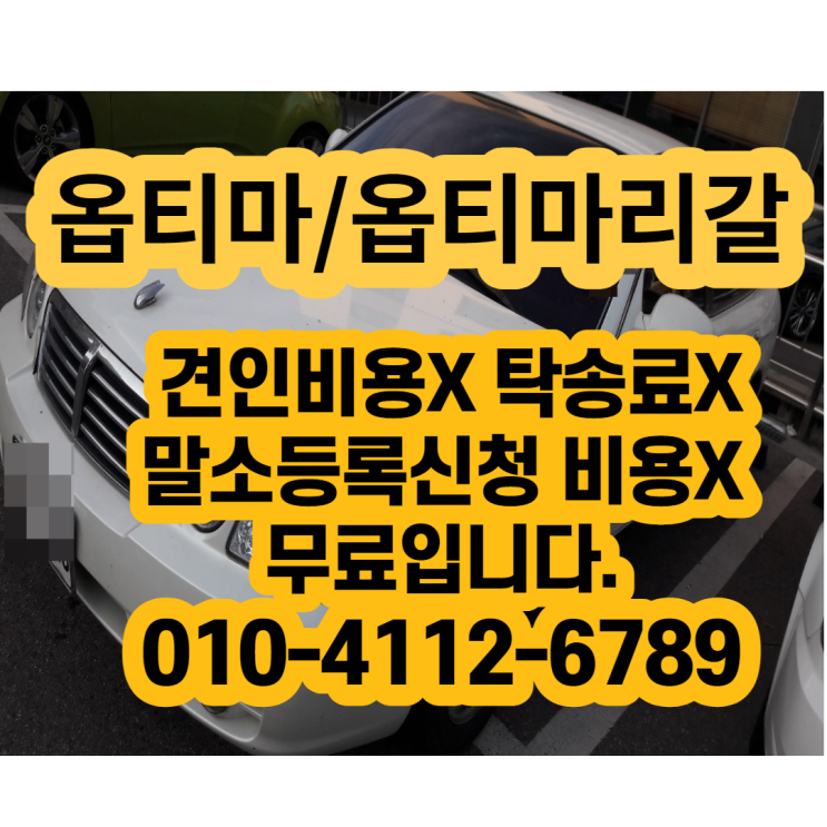 옵티마폐차 한다고요 촉매 확인했나요?