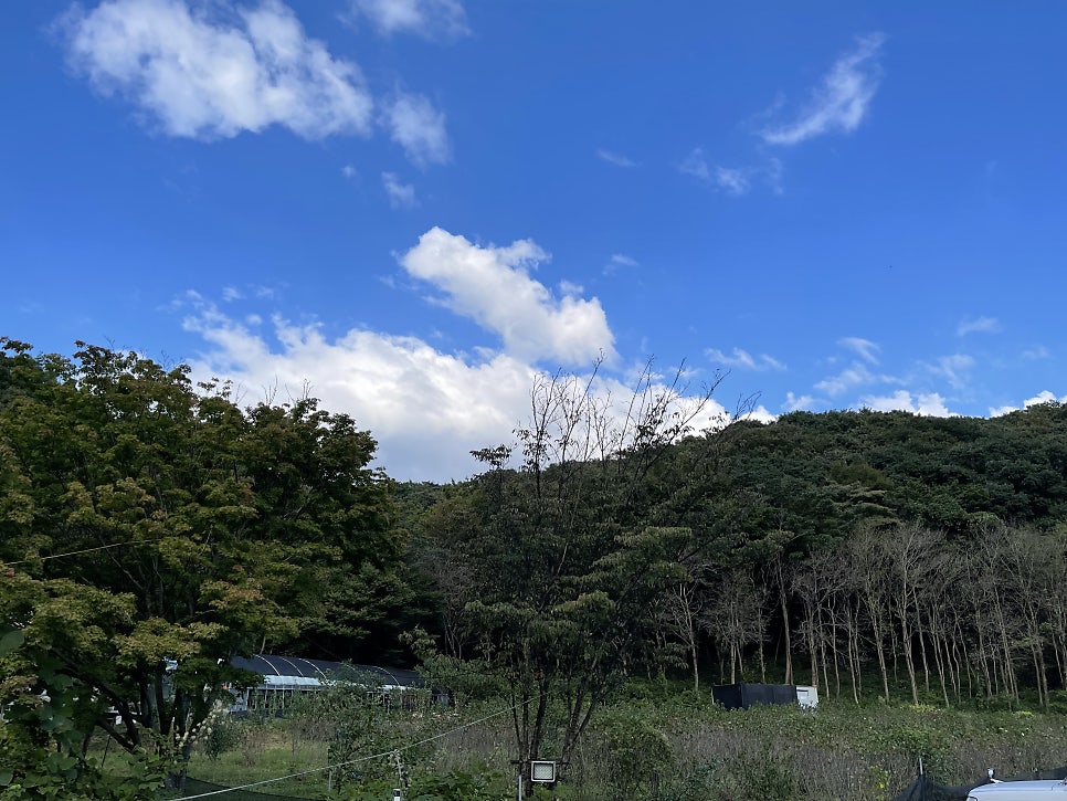 몽가 사진 6