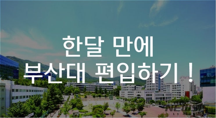 한달 만에 부산대로 편입하기!