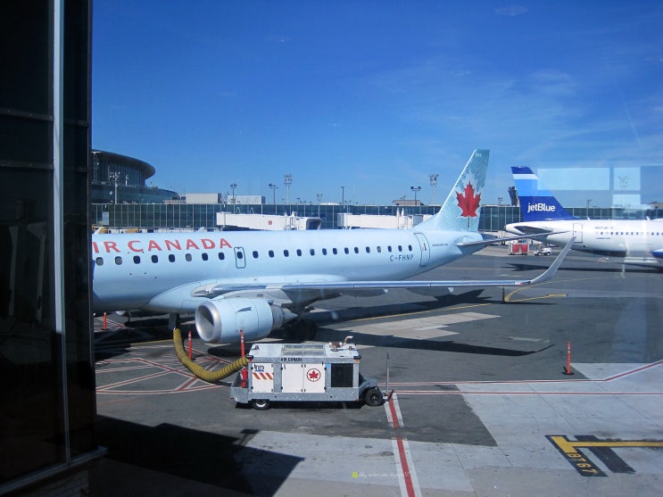 캐나다 입국 절차와 서류 · 항공편 상황