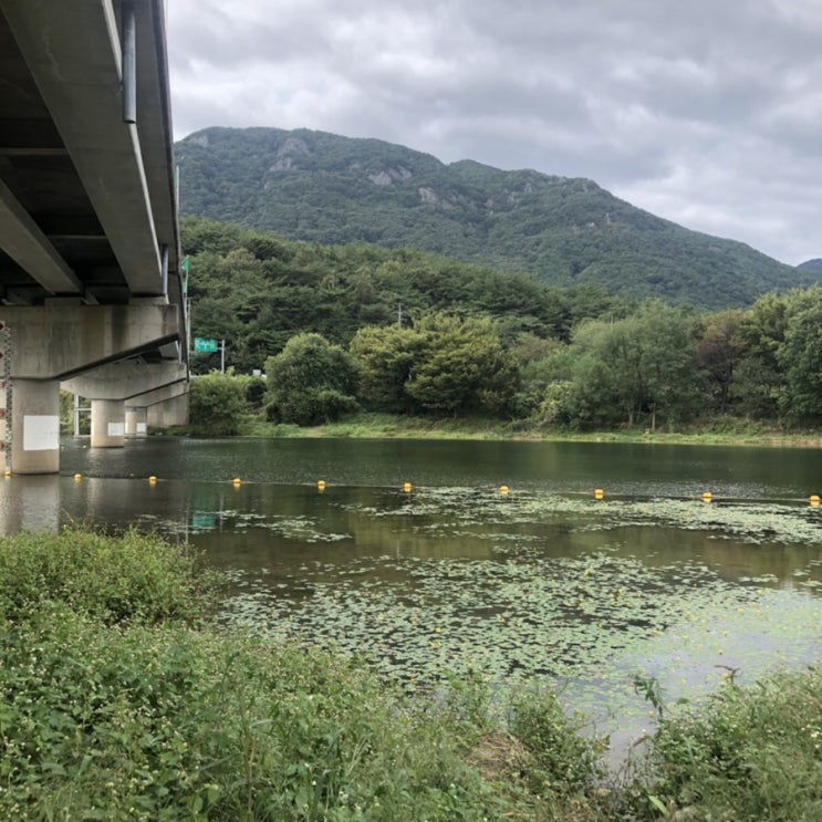  [대구근교]청도 무료캠핑장,노지캠핑,당일캠핑 가볼만한곳