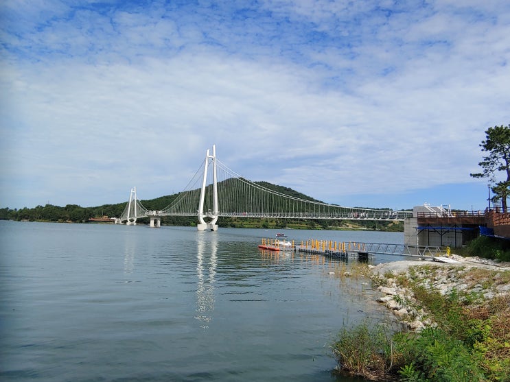 충청남도 논산여행 (2021년 개통한 논산 탑정호 출렁다리 : 동양에서 가장 긴 출렁다리)