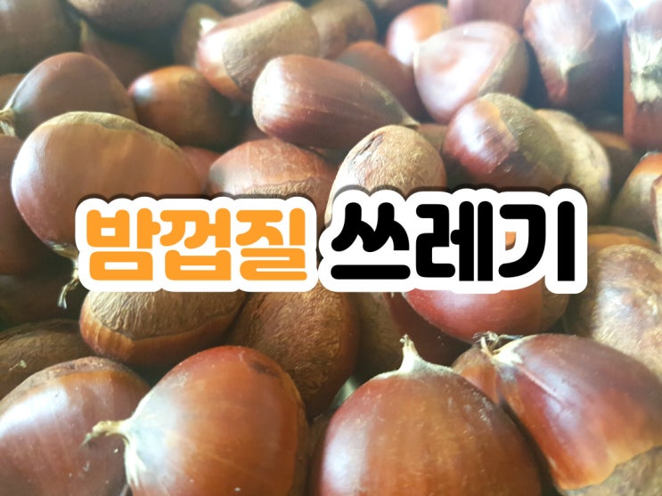  밤껍질 일반쓰레기?  밤껍질 쓰레기 분리수거는 이렇게
