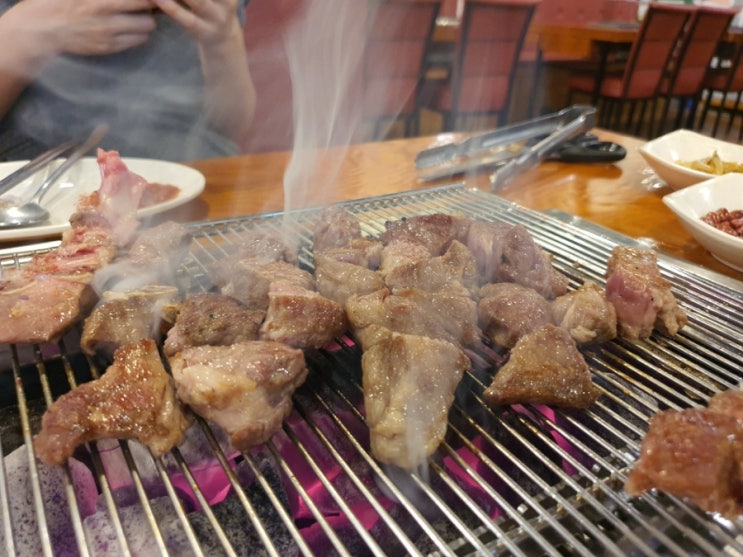  서울 교대 양갈비, 양꼬치 구이 한성양꼬치 교대점 저녁 식사
